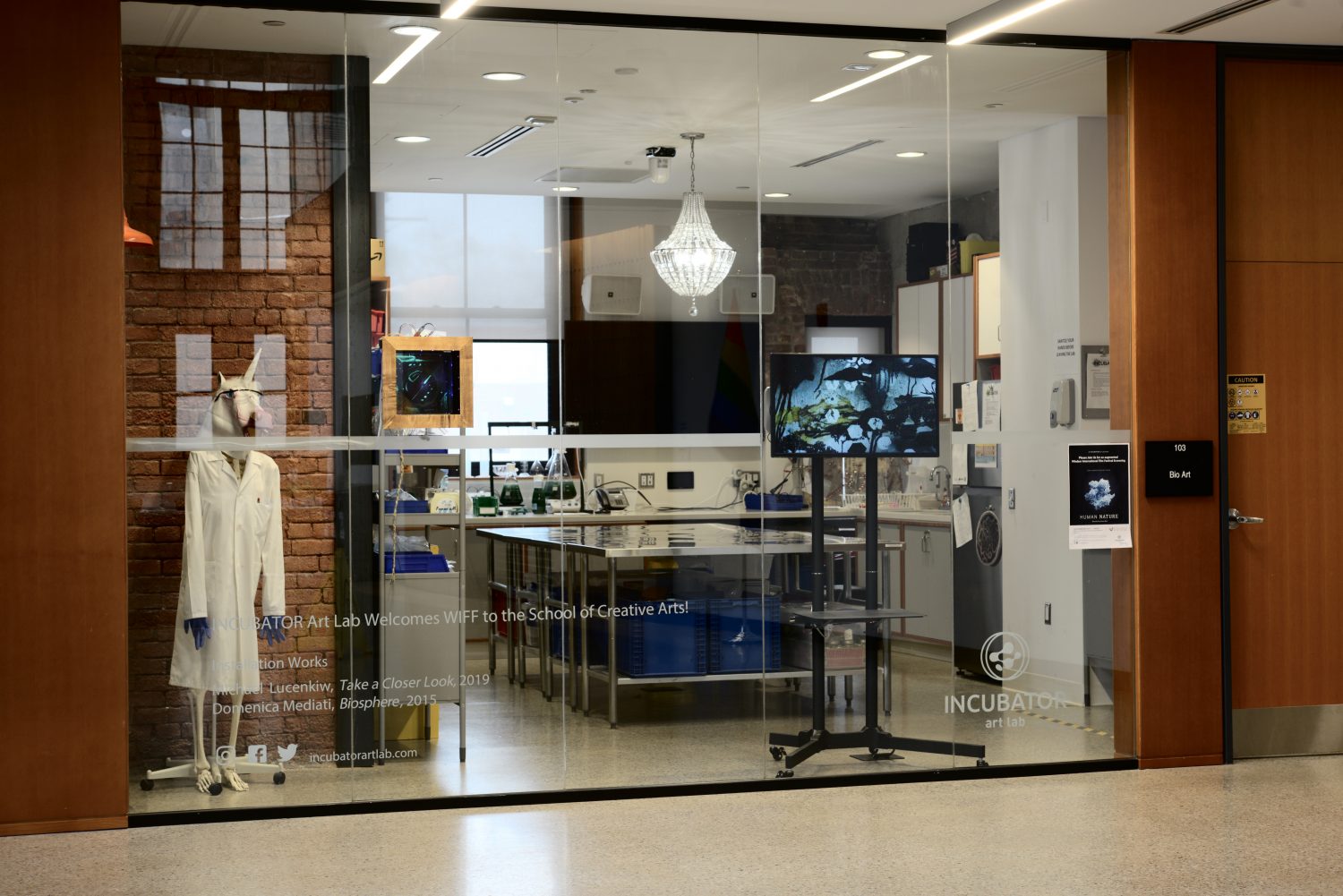 WIFF WINDOW EXHIBITION INCUBATOR art lab