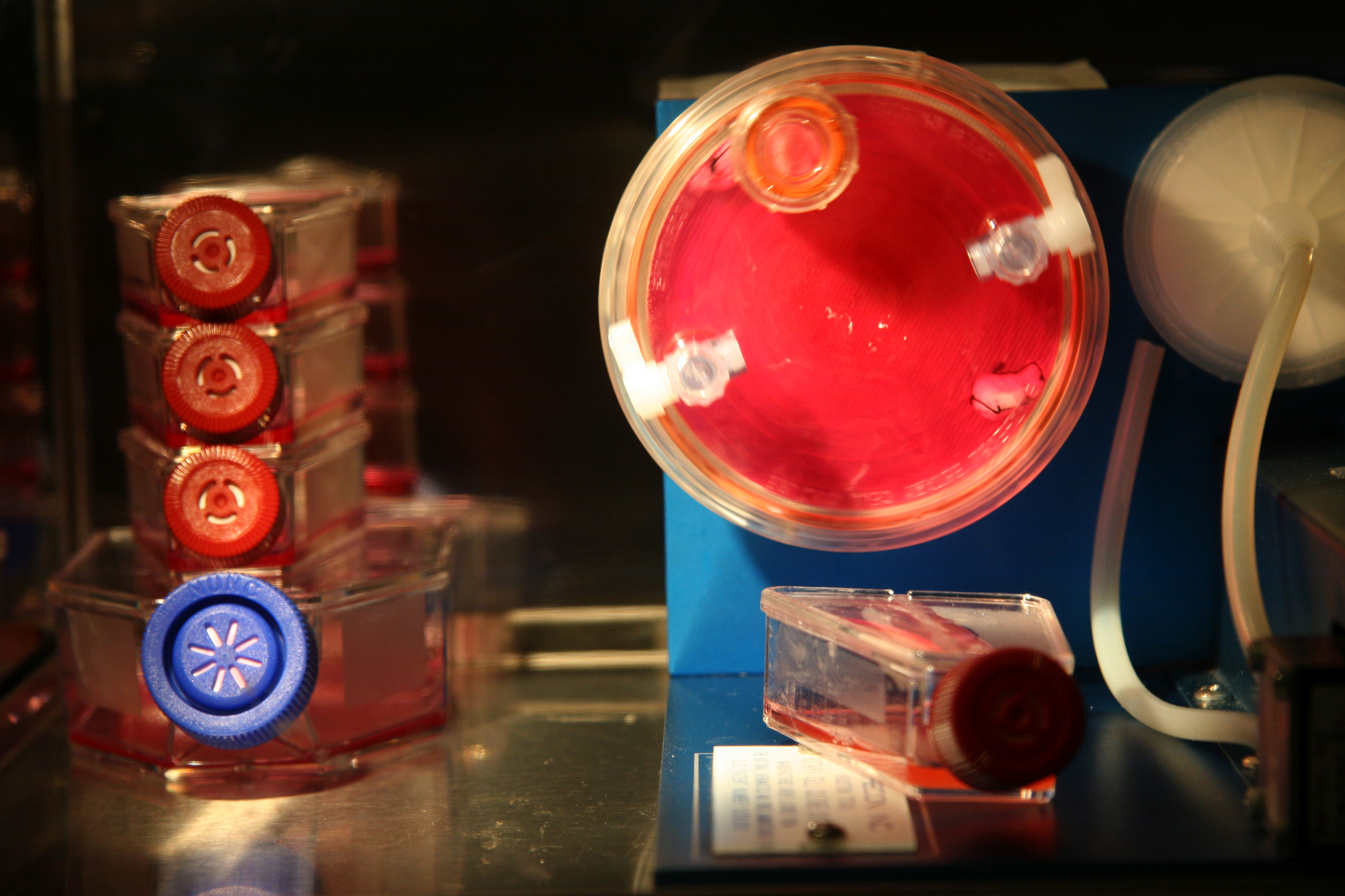 BIOTEKNICA INCUBATOR art lab