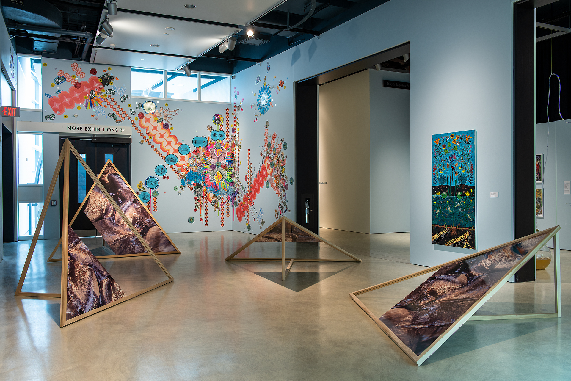 When Microbes Dream at Art Windsor Essex BioCurious INCUBATOR art lab